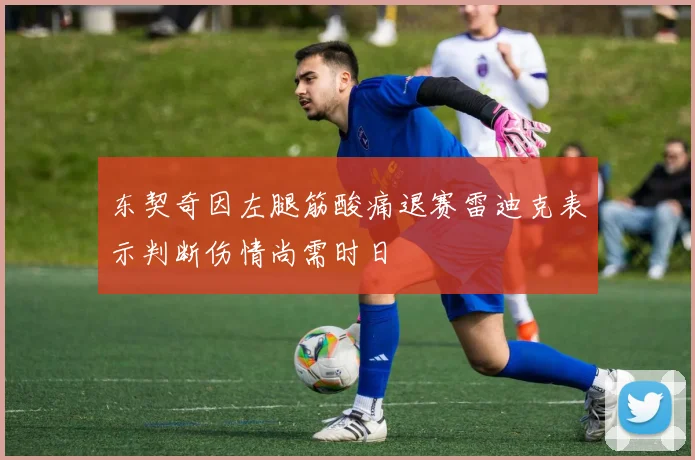 东契奇因左腿筋酸痛退赛雷迪克表示判断伤情尚需时日