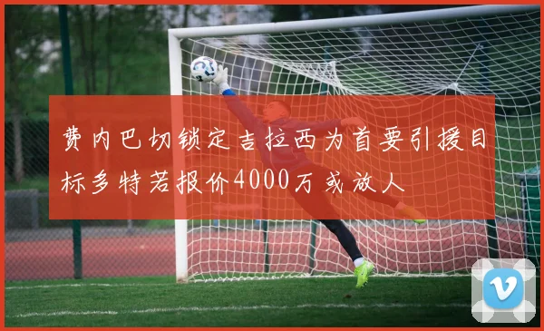 费内巴切锁定吉拉西为首要引援目标多特若报价4000万或放人