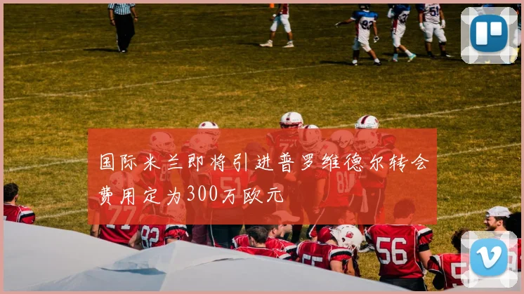 国际米兰即将引进普罗维德尔转会费用定为300万欧元