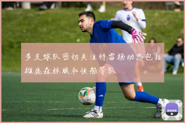 多支球队密切关注特雷杨动态包括雄鹿森林狼和快船等队